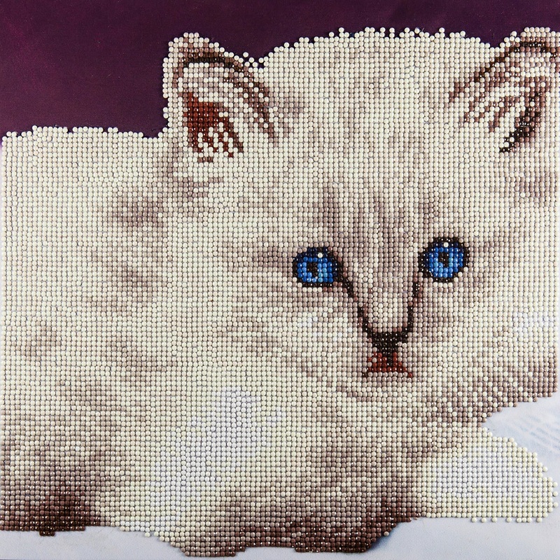 Intermediate Diamond Art Kit White Cat DMA49295