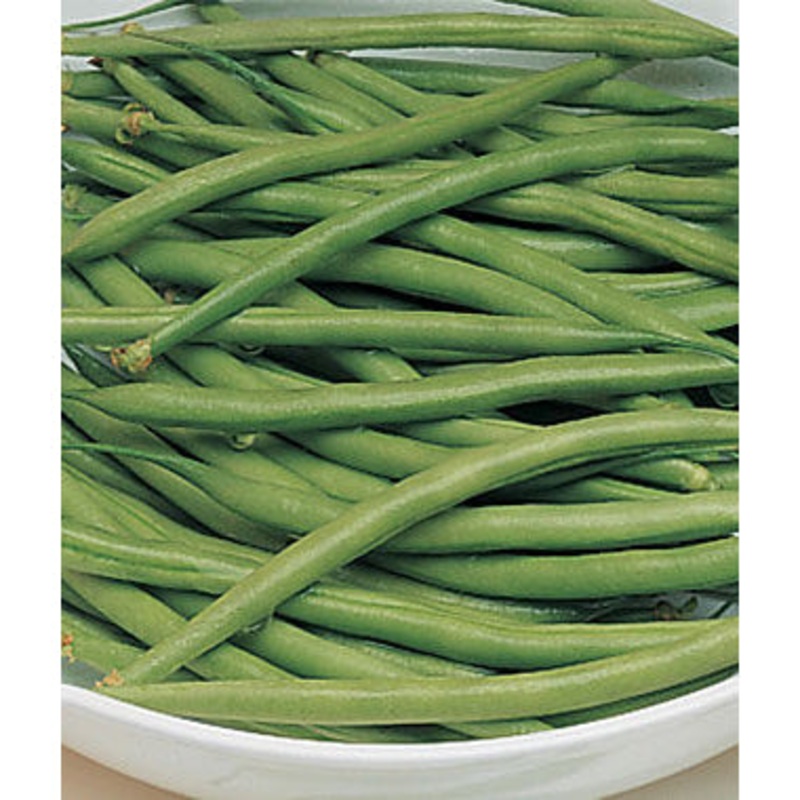 Triomphe de Farcy Garden Bean Seed Pack 52687