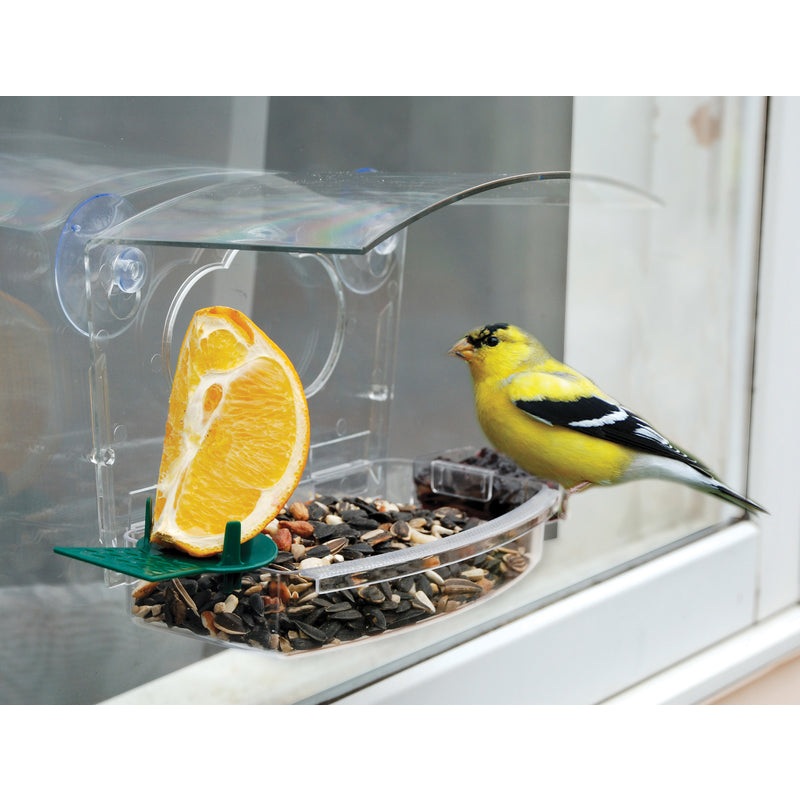Window Bird Feeder NAWFDR