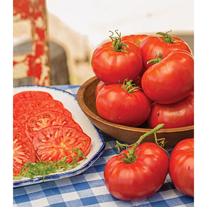 Madame Marmande Hybrid Tomato Seed Pack 54337