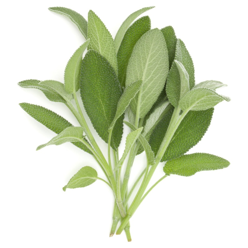 Sage Herb Seeds 9915300