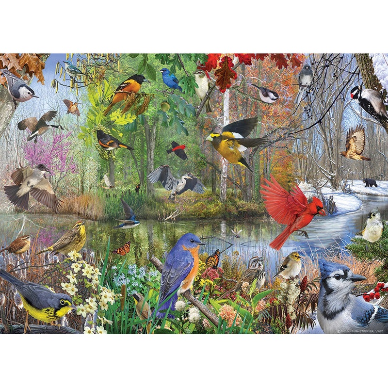 Birds of the Season 1000-Piece Puzzle 80243