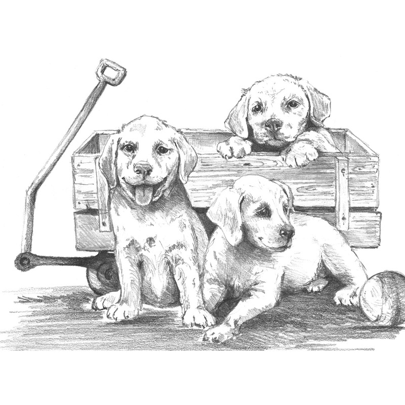 Sketching Made Easy Puppies & Wagon SKBNL10