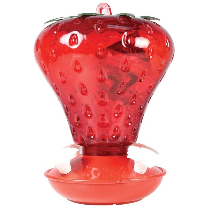 Strawberry Hummingbird Feeder NA5540