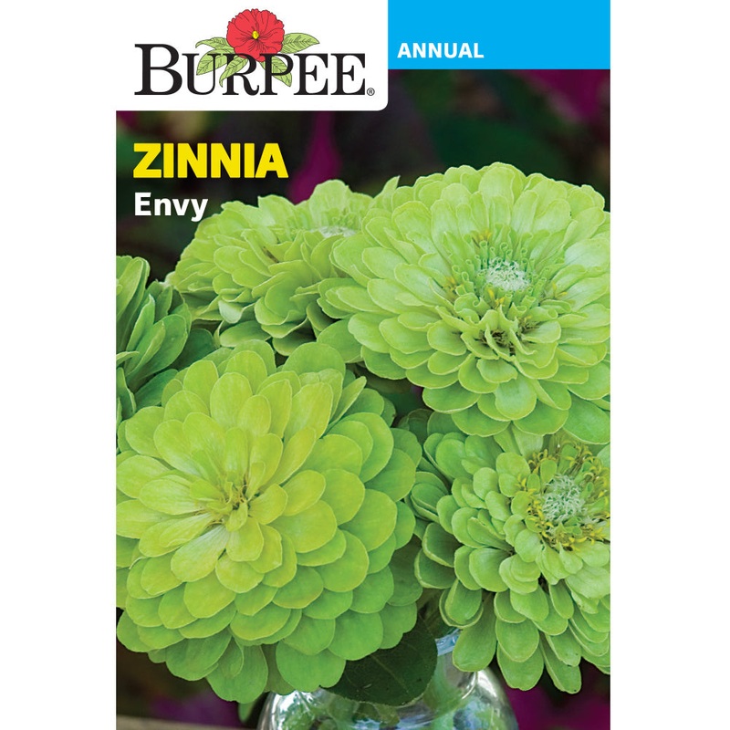 Envy Zinnia Flower Seed Pack 34136