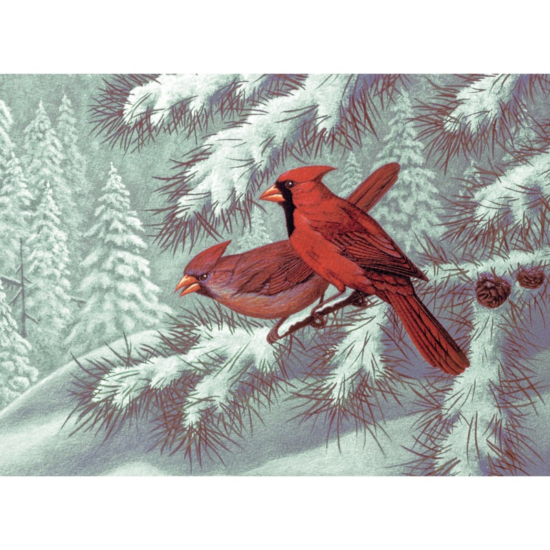Adult Paint By Numbers Cardinals PAL23