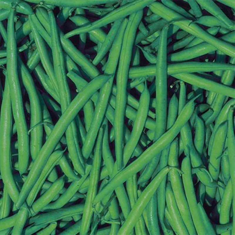 Strike Beans 9920302
