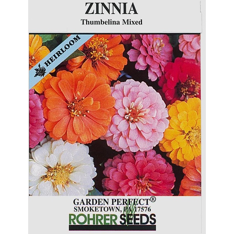 Thumbelina Mix Zinnia Seeds 9937900