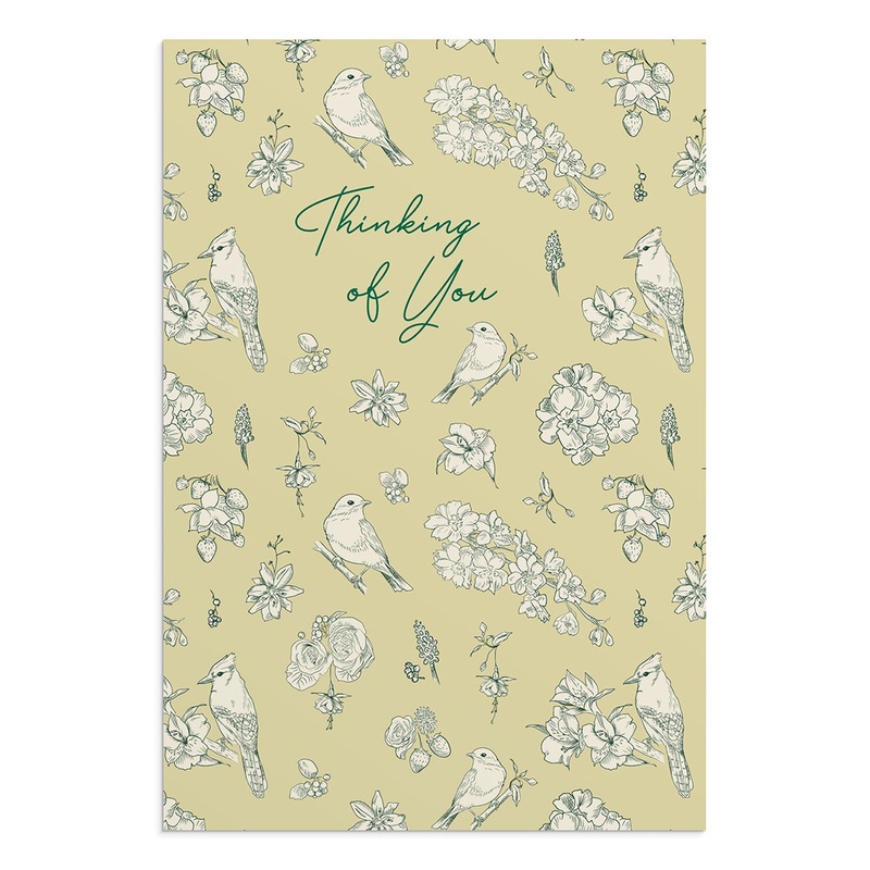 Thinking of You He Cares for You 12 Boxed Cards J7450