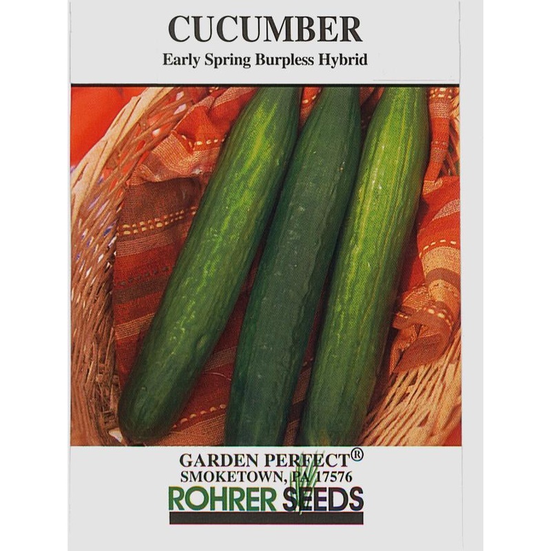 Early Spring Burpless Hybrid Cucumbers Seed Pack 9903770