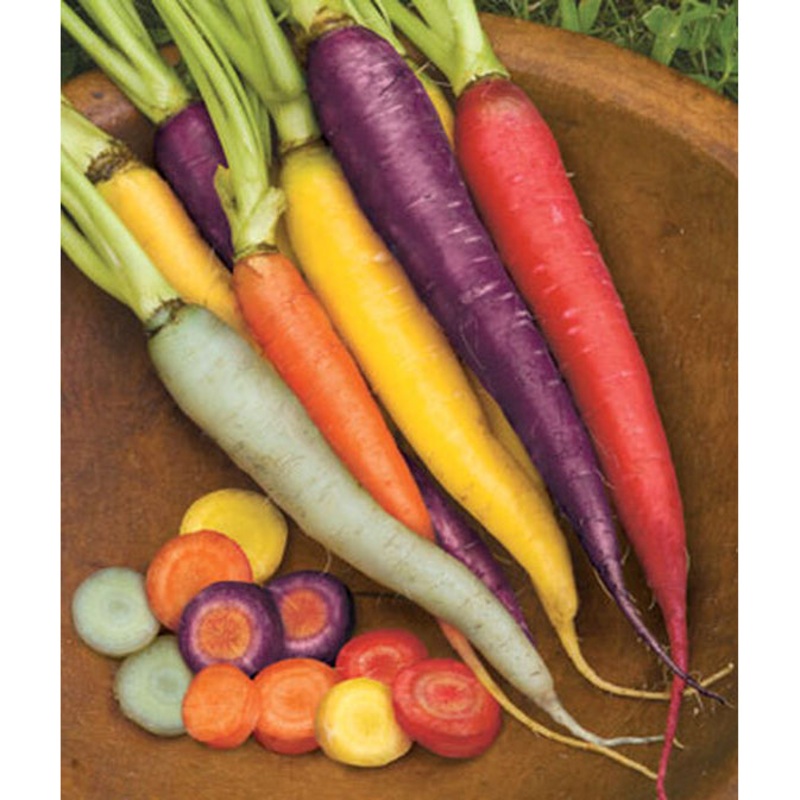 Seed Tape Kaleidoscope Blend Carrots 53058