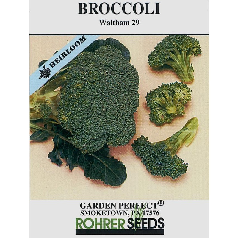 Waltham 29 Broccoli Seed Pack 9900700