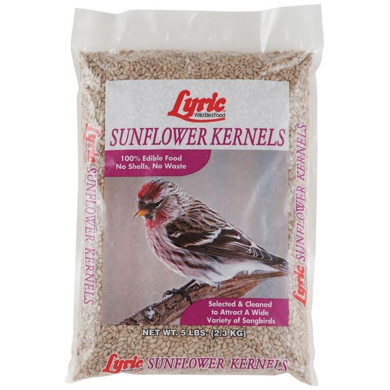Sunflower Kernels Bird Food 26-47431