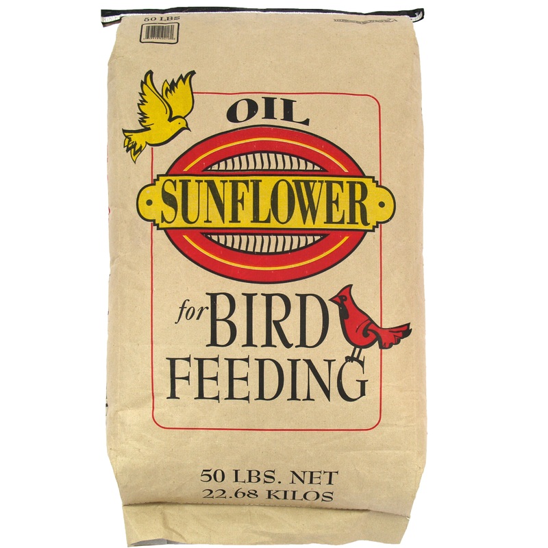 Black Oil Sunflower Seeds for Wild Birds 50 lbs 53120