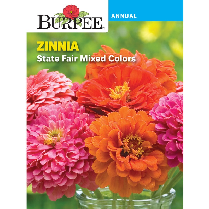 State Fair Zinnia Flower Seed Pack 30198
