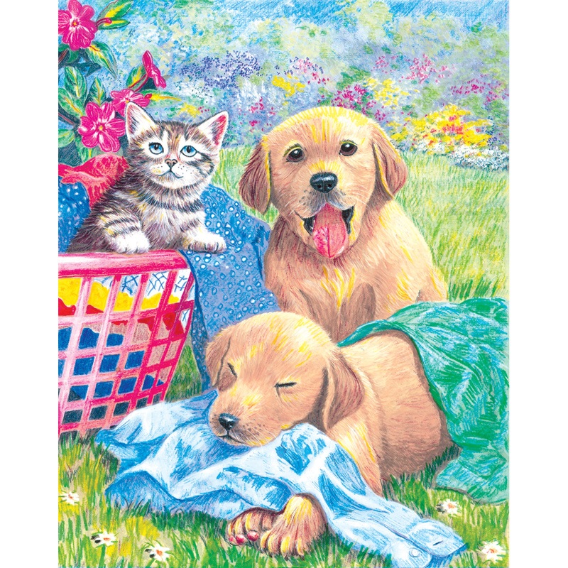 Color Pencil by Numbers Wash Day Fun CPN9