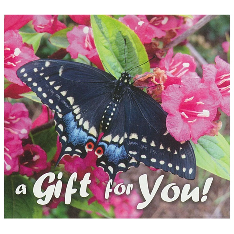 Good’s Store Gift Card in a Black Swallowtail Butterfly Holder $10.00