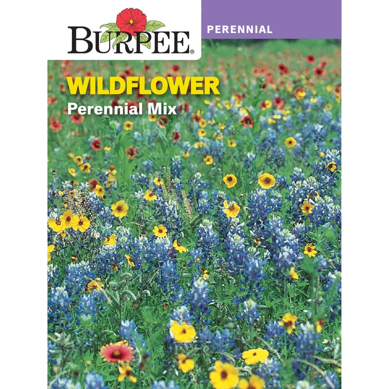 Wildflower Perennial Mix Seed Pack 31922