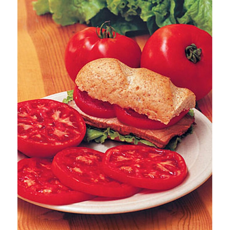 Steak Sandwich Hybrid Tomato Seed Pack 67071