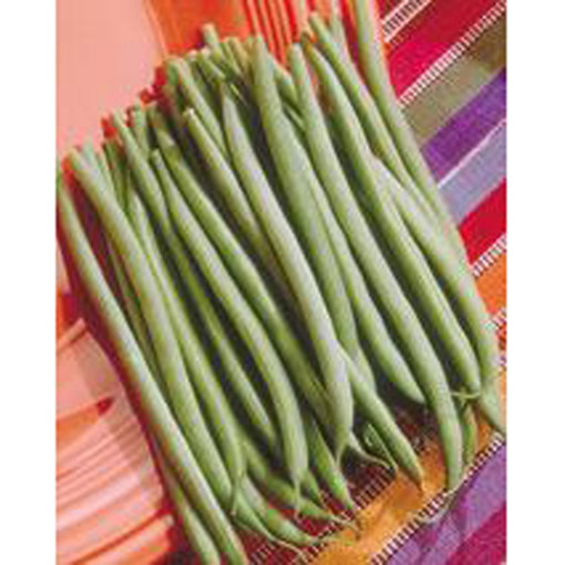 Tema Beans 9920352 1/2 lb
