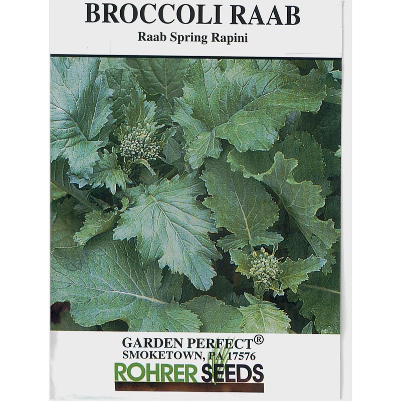 Raab Spring Rapini Broccoli Seed Pack 9900640