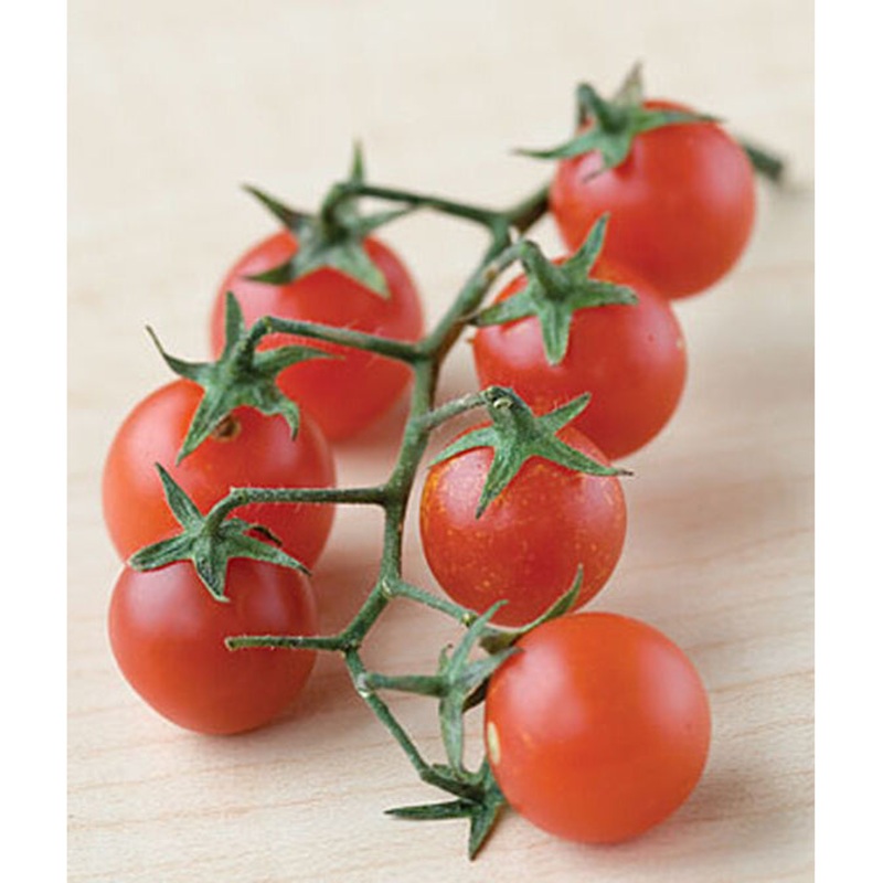 Red Currant Tomato Seed Pack 52973