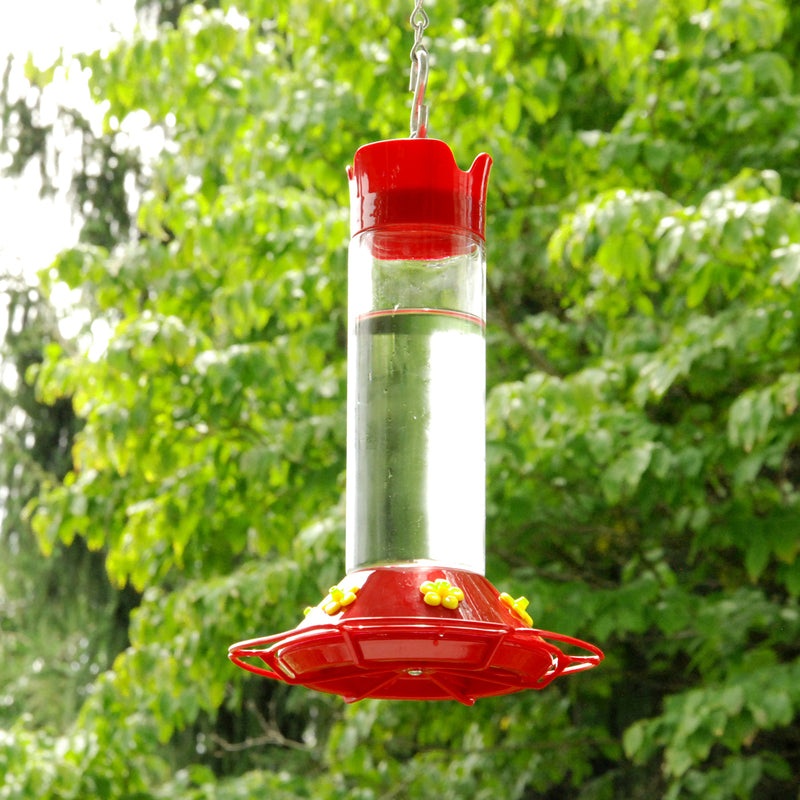 Glass Hummingbird Bird Feeder 209