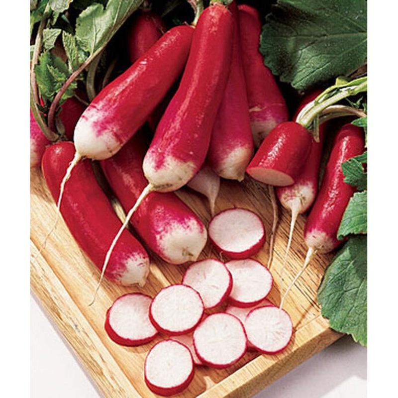 French Dressing Radish Seed Pack 66804