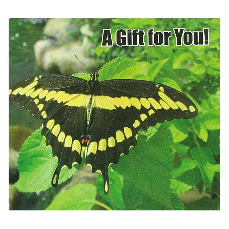 Good’s Store Gift Card in a Butterfly and Green Leaves Holder $10.00