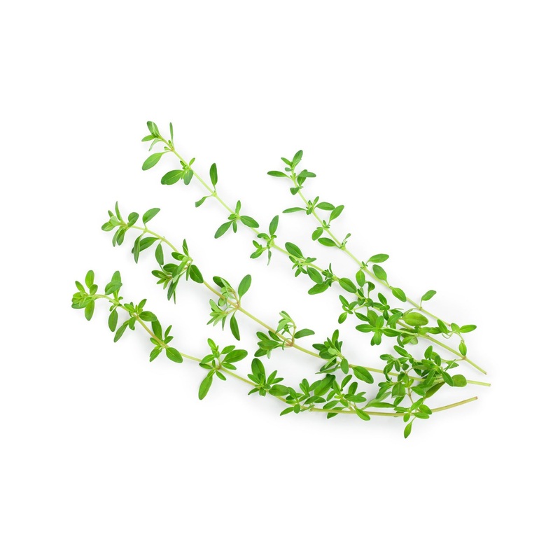 Thyme Seeds 9915600