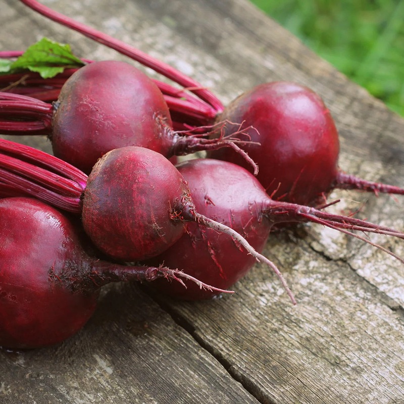 Detroit Dark Red Beets 500205