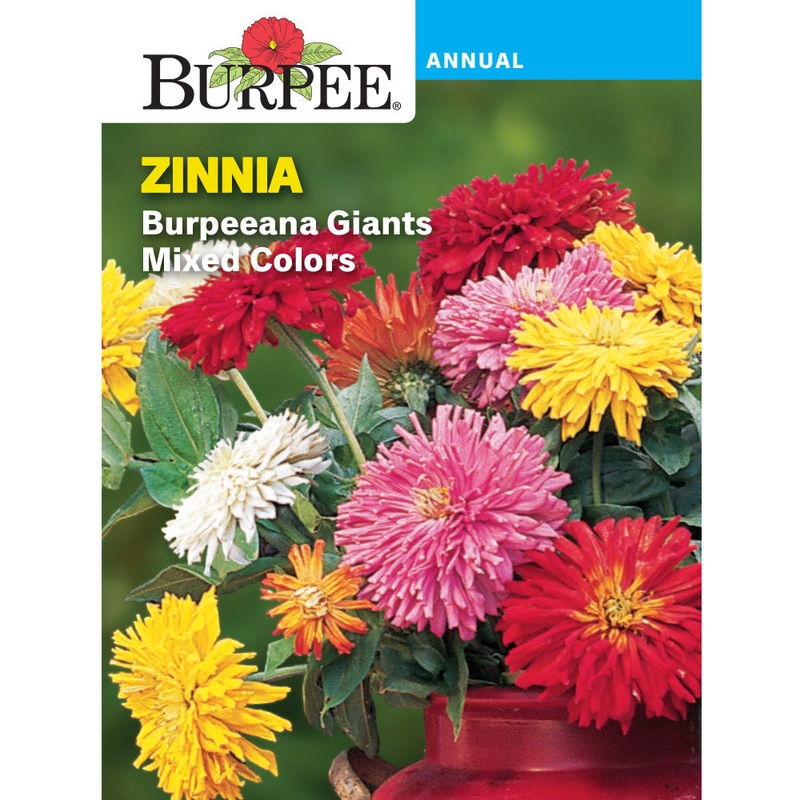 Burpeeana Giant Zinnia Flower Seed Pack 30008