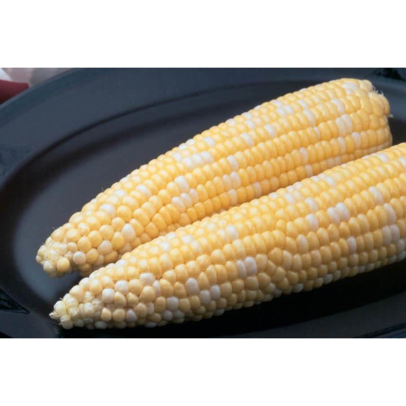 Ambrosia Sweet Corn 9921002 1/2 lb