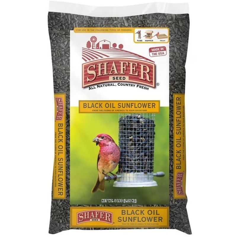 Black Oil Sunflower Seed 114057