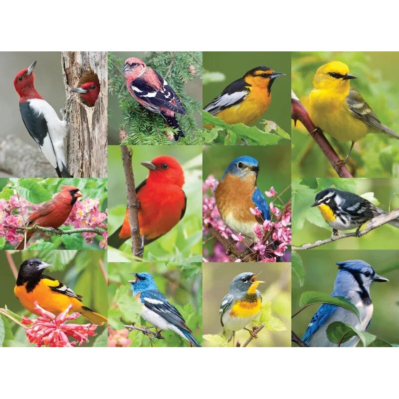 Birds of a Feather Puzzle 33-01495 500-piece