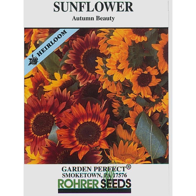 Autumn Beauty Sunflower Seed Pack 9936090