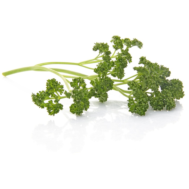 Forest Green Parsley Seeds 9906800