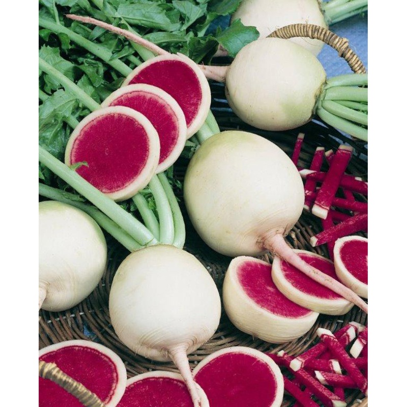 Watermelon Radish Seeds 0945 1-oz