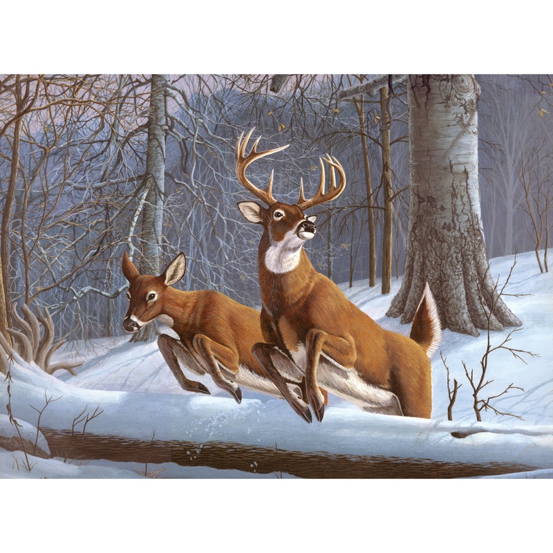 Adult Paint By Numbers White Tails PAL34