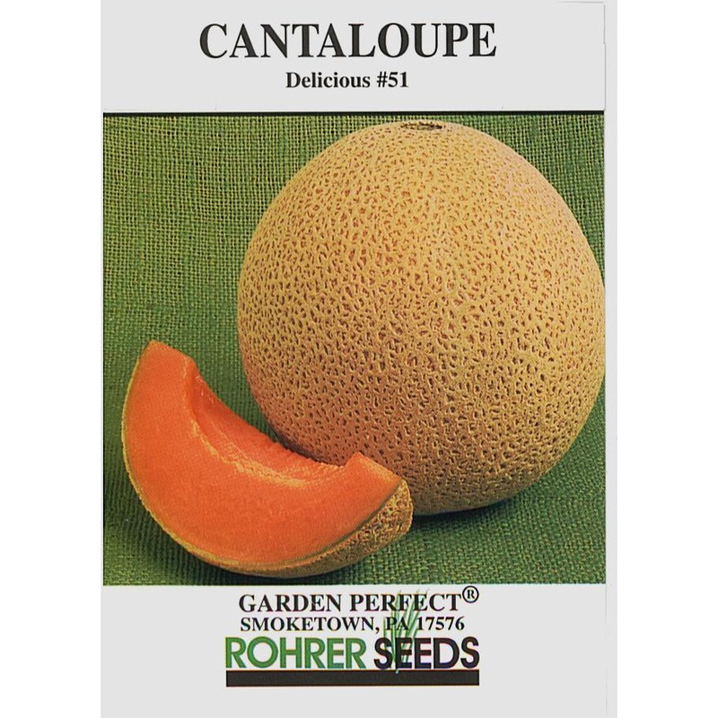 Delicious 51 Cantaloupe Seed Pack 9901900