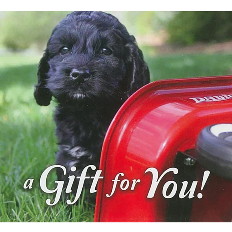 Good’s Store Gift Card in a Puppy with Red Wagon Holder $10.00
