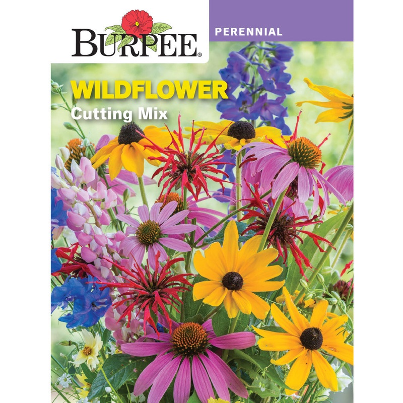 Wildflower Cutting Mix Perennial Seed Pack 44750