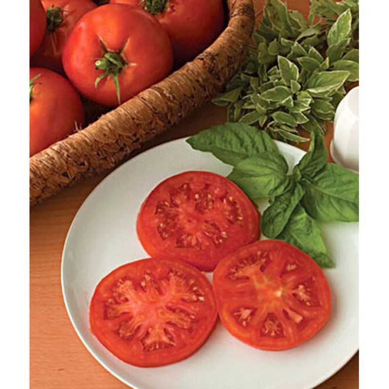 Supersteak Hybrid Tomato Seed Pack 63031